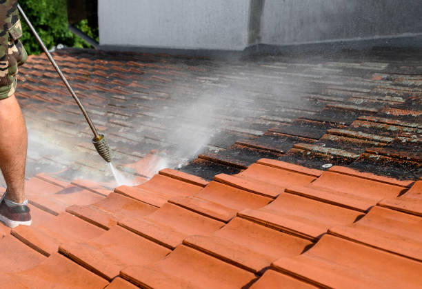 Best Pressure Washing Cost  in Vado, NM