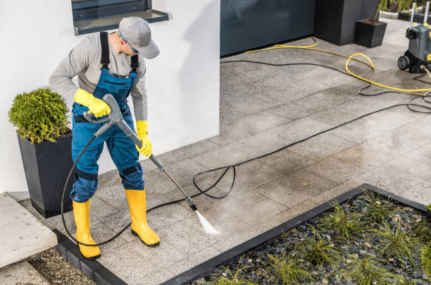 Best Affordable Pressure Washing  in Vado, NM